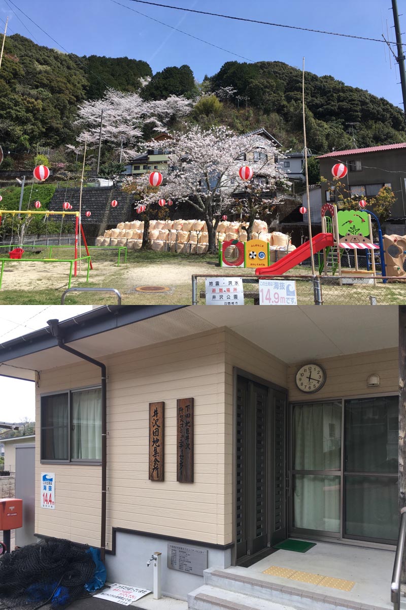 井沢団地地区集会所と、その前の桜の木が生えている公園の写真。桜はちょうど満開になっている時の写真。
